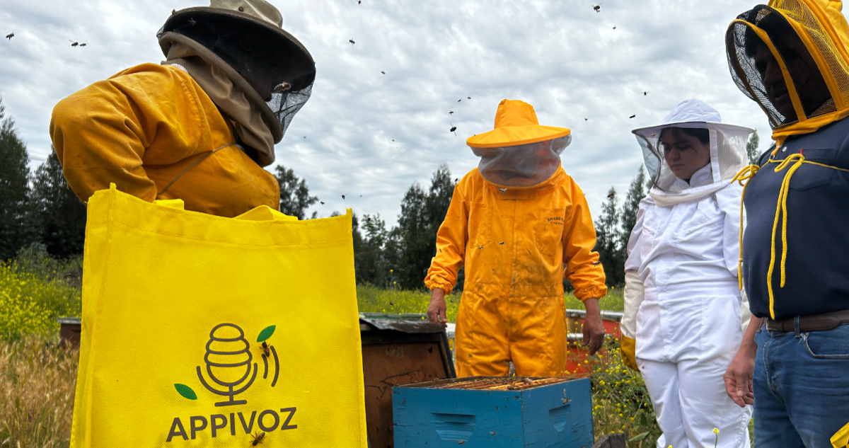 AppiVoz: desarrollan plataforma que busca impulsar apicultura mediante registro de datos de voz
