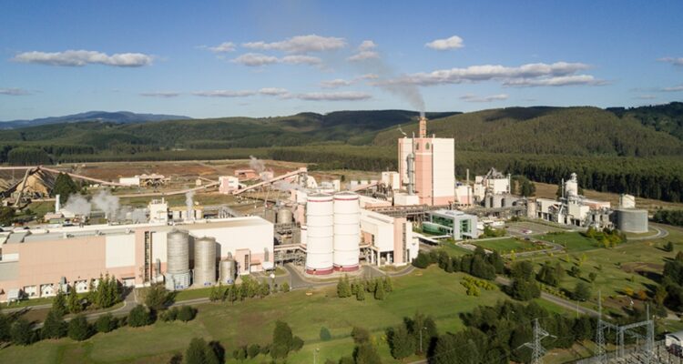 Reportan despidos en Arauco