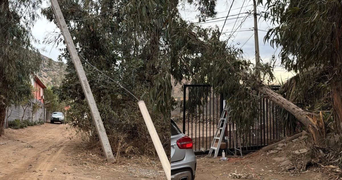 Árboles caídos por vientos en la RM dejan sin luz a miles de hogares en Puente Alto y otras comunas
