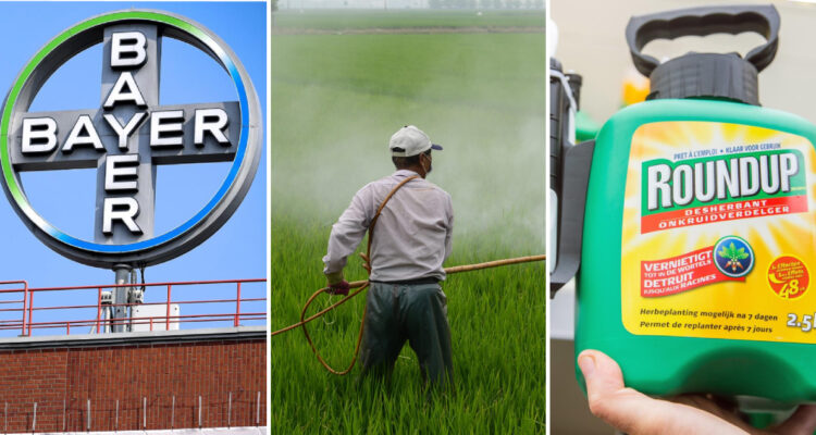 Bayer anota su mayor alza en bolsa desde 2003 tras portazo de EEUU a una demanda por herbicida Roundup