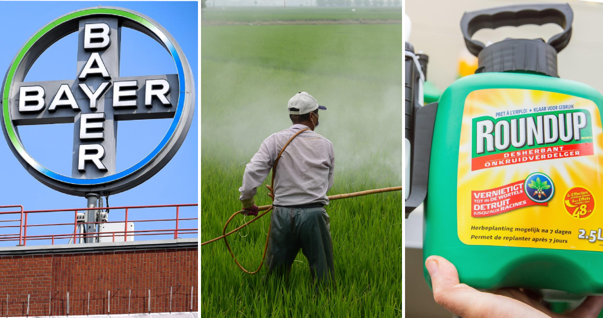 Bayer anota su mayor alza en bolsa desde 2003 tras portazo de EEUU a una demanda por herbicida Roundup