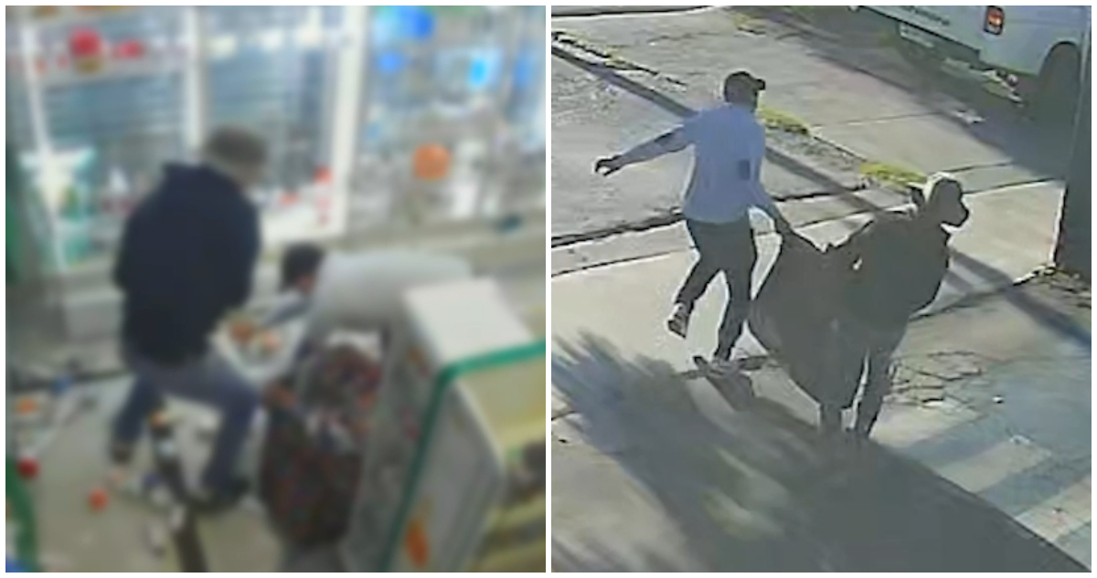 Cae último integrante de banda dedicada a violentos robos en farmacias del sector oriente de la RM