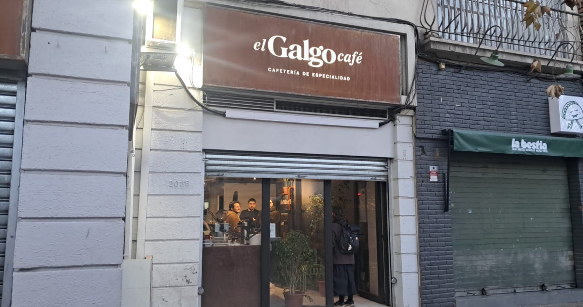 “Ni siquiera rompieron una taza… Sabían a lo que venían”: millonario robo en un café de Providencia