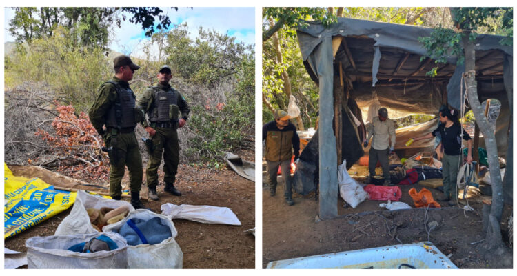 Conaf y OS-5 de Carabineros desmantelan campamento ilegal en Parque Nacional La Campana