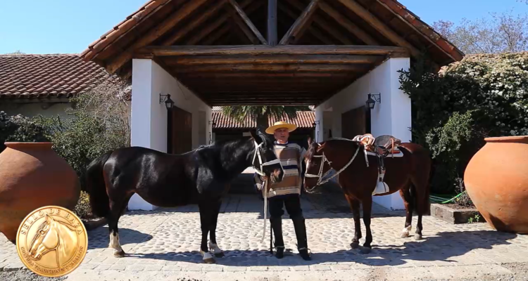 El caballo chileno: recorremos tres lugares unidos por la misma pasión