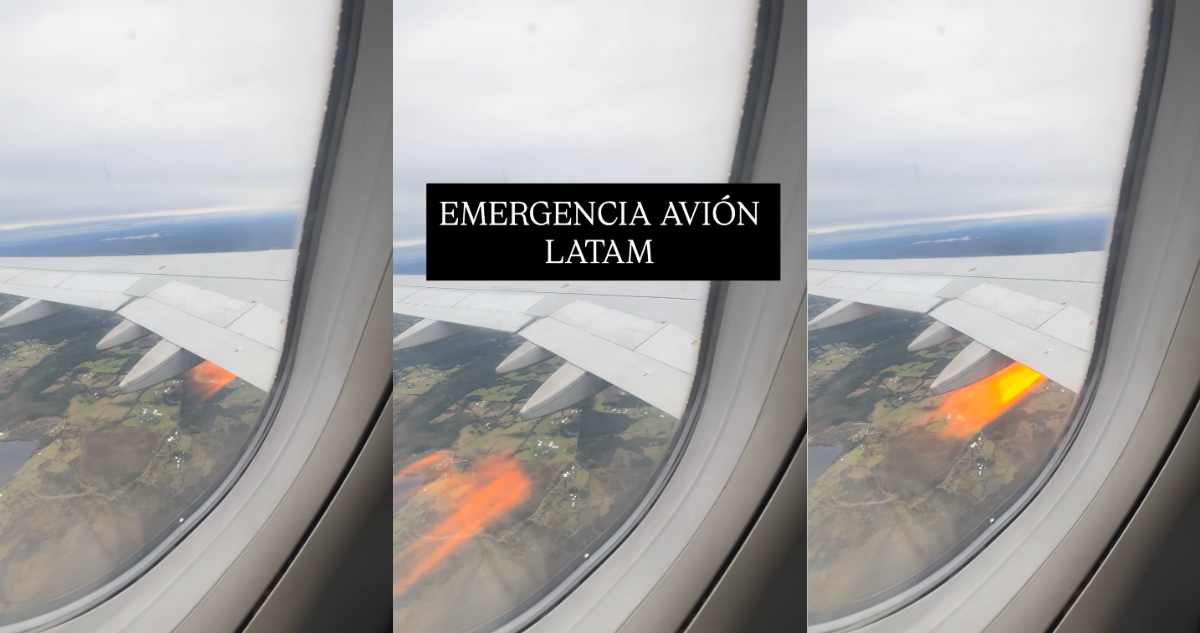 Avión con destino a Punta Arenas aterrizó de emergencia en Puerto Montt tras colisionar motor con aves