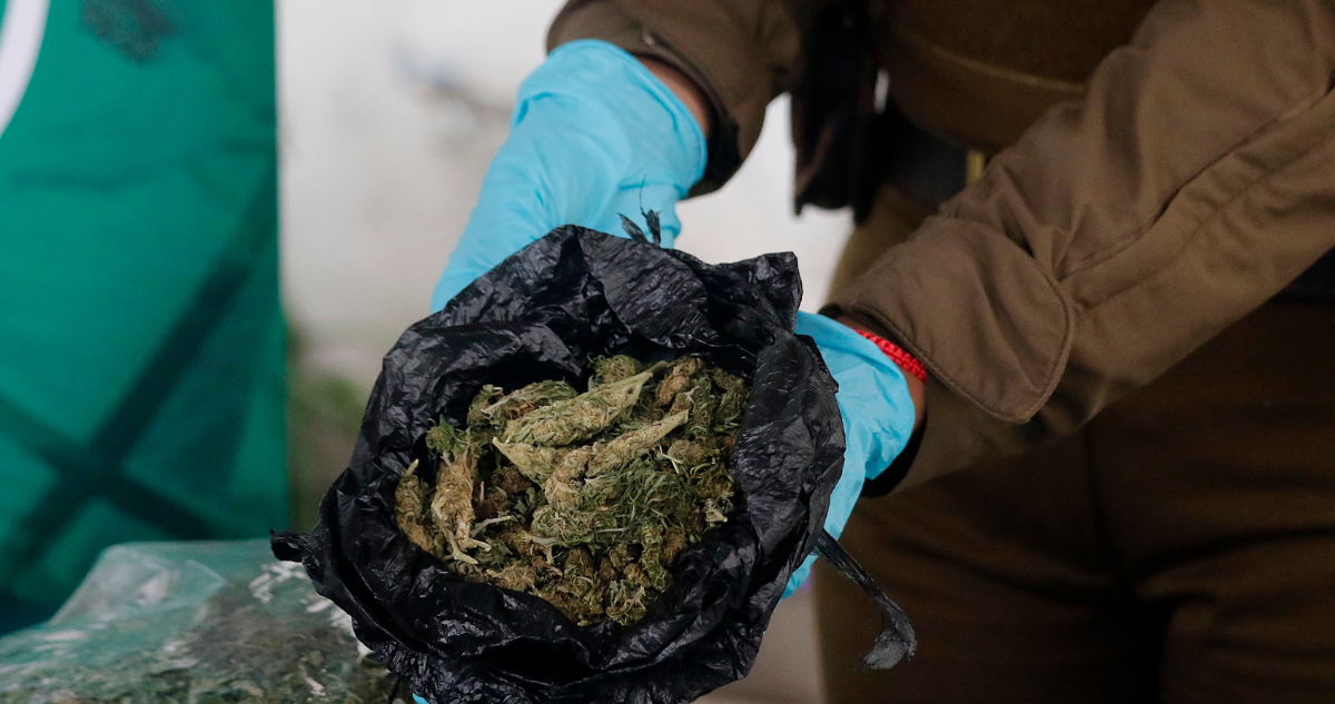 Carabineros desarticula centro de acopio de drogas y detiene a dos hombres tras operativo en Coquimbo