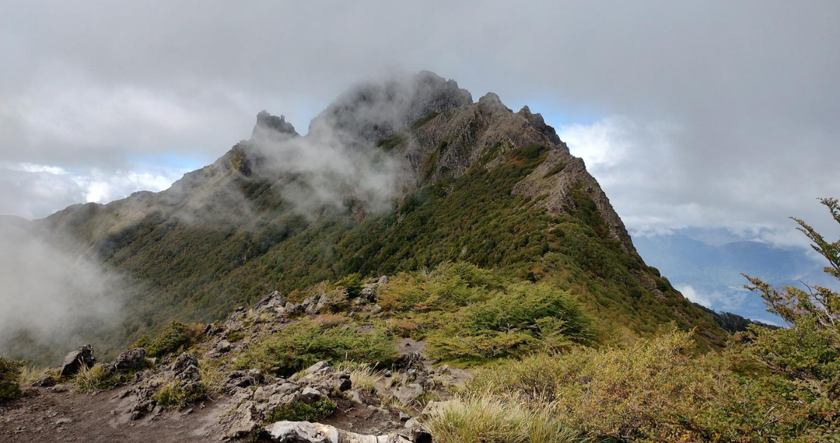 Carabineros rescata con vida a turista perdido durante trekking en Puyehue