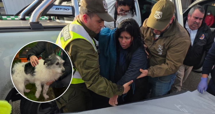 Comió raíces y acompañada por su perro Cheme: así sobrevivió mujer tras 5 días desaparecida en Quellón