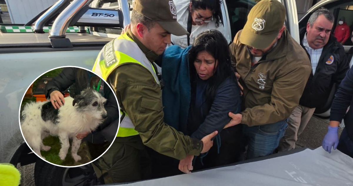 Comió raíces y acompañada por su perro Cheme: así sobrevivió mujer tras 5 días desaparecida en Quellón
