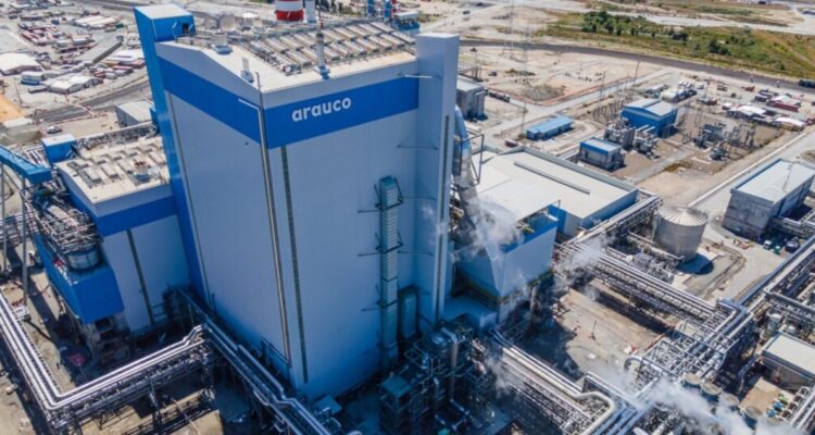 "Estamos expectantes, con miedo": trabajadores operacionales de Celulosa Arauco por despidos