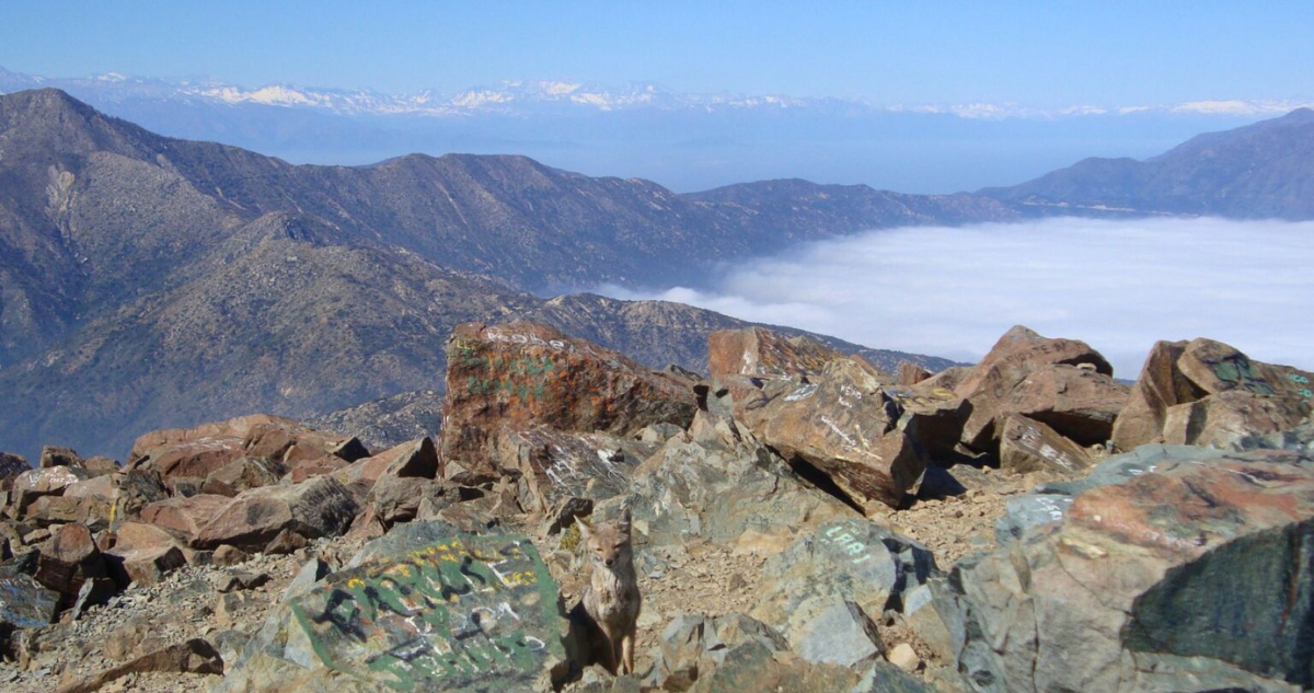Cierran acceso a cumbre del Parque Nacional La Campana hasta el 31 de agosto por bajas temperaturas