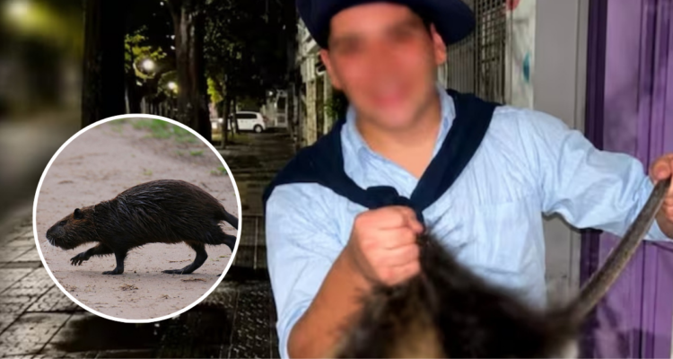 Indignación en Argentina por dos jóvenes que se grabaron pateando un coipo hasta la muerte