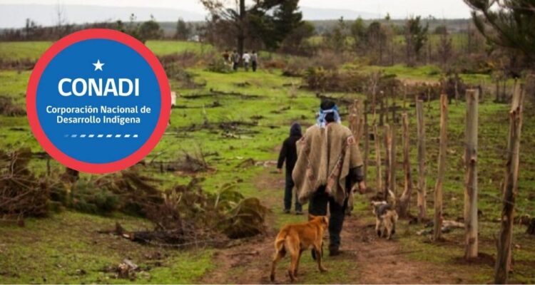 Conadi eliminará elementos que permitían subir valor por hectárea en proceso de compra de tierras