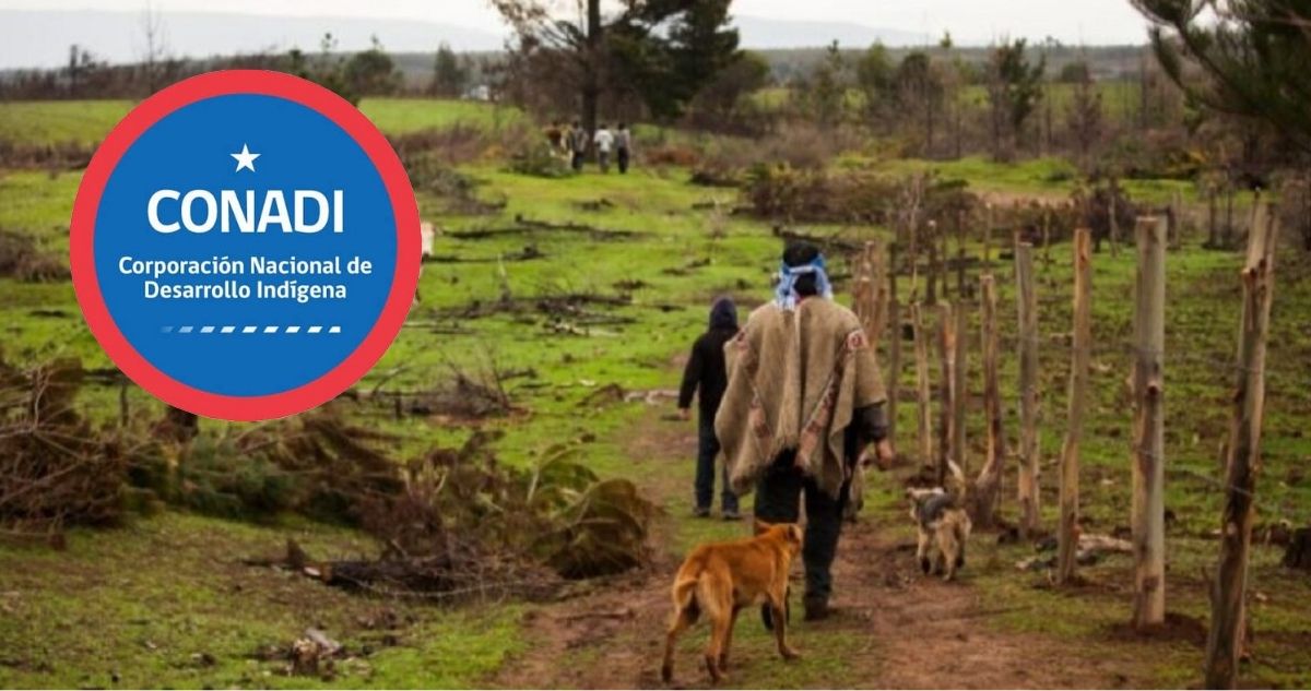 Conadi eliminará elementos que permitían subir valor por hectárea en proceso de compra de tierras