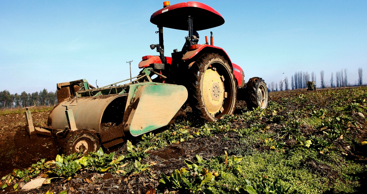 Condenan a comunero que obligó a agricultor a pgar 5 millones para retirar su propia cosecha