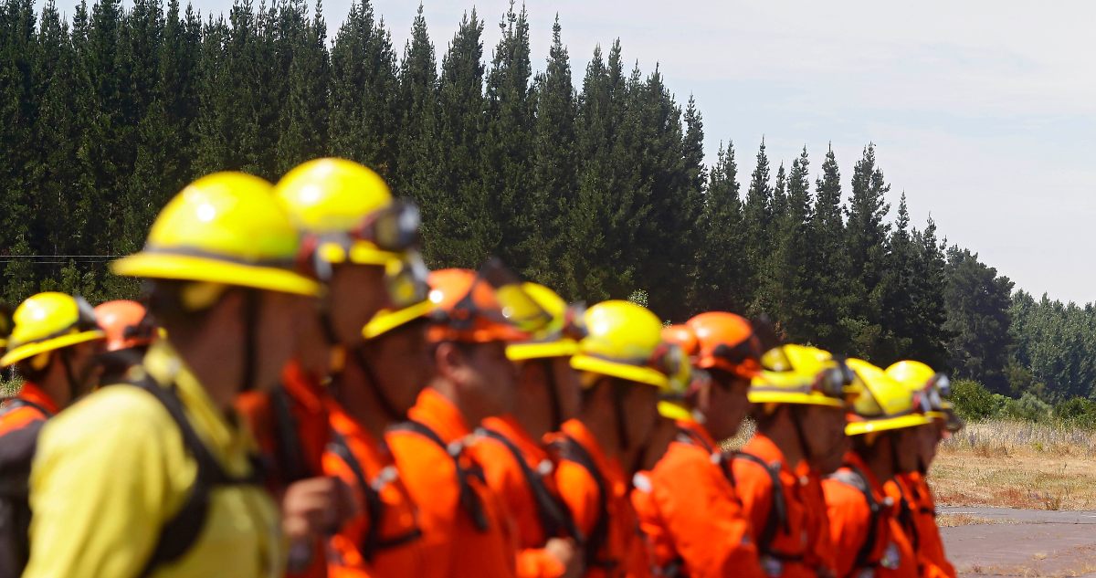 Crisis en sector forestal: empresas contratistas de CMPC suman cerca de 700 trabajadores desvinculados
