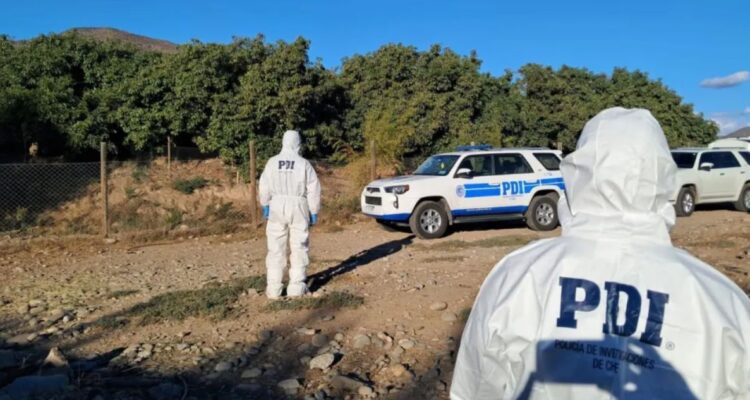 Investigan homicidio en La Araucanía: hallaron cadáver de hombre a un costado de ruta Saavedra-Huapi