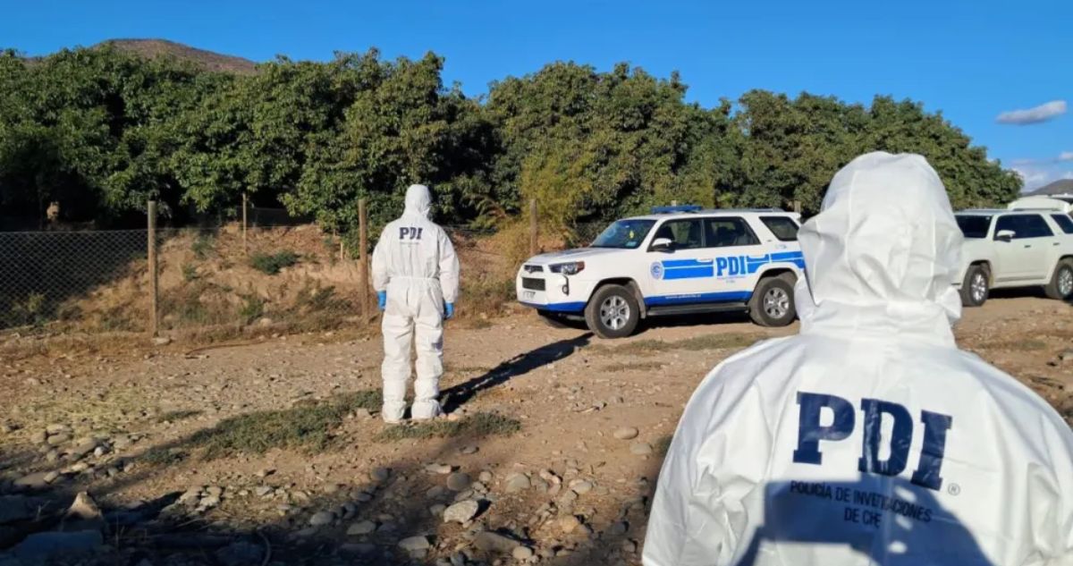 Investigan homicidio en La Araucanía: hallaron cadáver de hombre a un costado de ruta Saavedra-Huapi