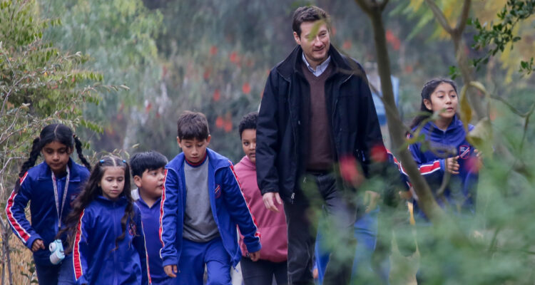 “Da cuenta de una sociedad en crisis”: Cuando los “padres voluntarios” se repiten en los colegios