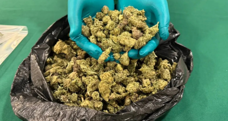 Detienen a joven por delivery de marihuana y codeína en La Serena: comprador también fue arrestado