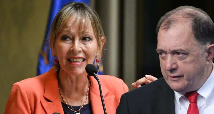 Diputada Gazmuri evalúa denuncia por Ley Karin contra Iván Poduje: “El ministro me está acosando”