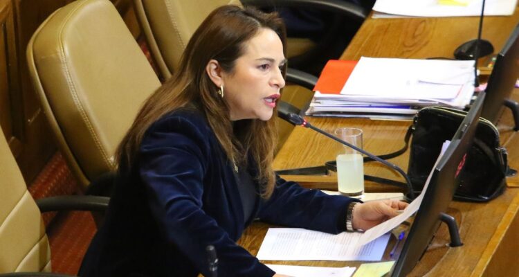 Pérez critica salida de Jouannet de Subsecretaría y acusa a Republicanos de “monopolizar” la seguridad