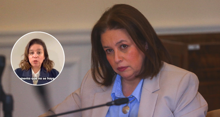 Senadora Órdenes explica que clima de Aysén impidió su voto en secreto bancario por vía administrativa