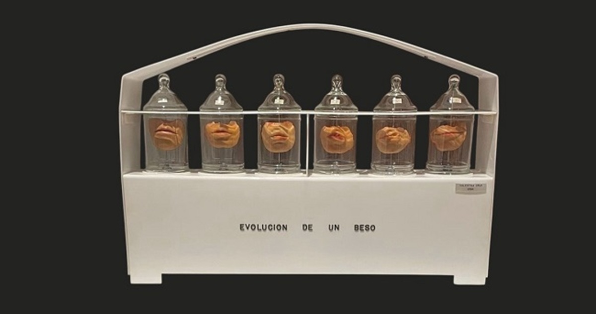 Evolución de un beso, de Valentina Cruz, MNBA