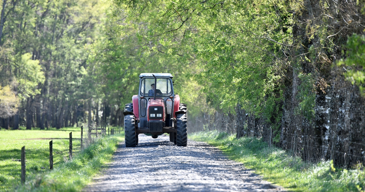 Flexibilidad laboral 40 horas sector agrícola