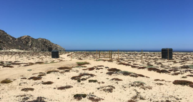 SMA ratifica que megaproyecto inmobiliario en Algarrobo debe someterse a evaluación ambiental
