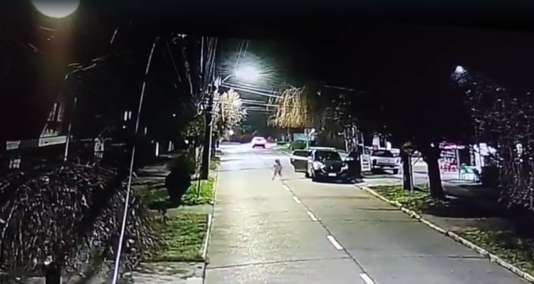 Madre e hija sufren violento asalto e intento de portonazo en Chiguayante: las amenazaron con cuchillo