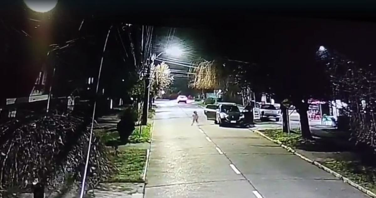 Madre e hija sufren violento asalto e intento de portonazo en Chiguayante: las amenazaron con cuchillo
