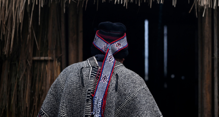 https://media.biobiochile.cl/wp-content/uploads/2026/06/gobierno-confirma-que-no-hay-fecha-para-retomar-consulta-indigena-750x400.png