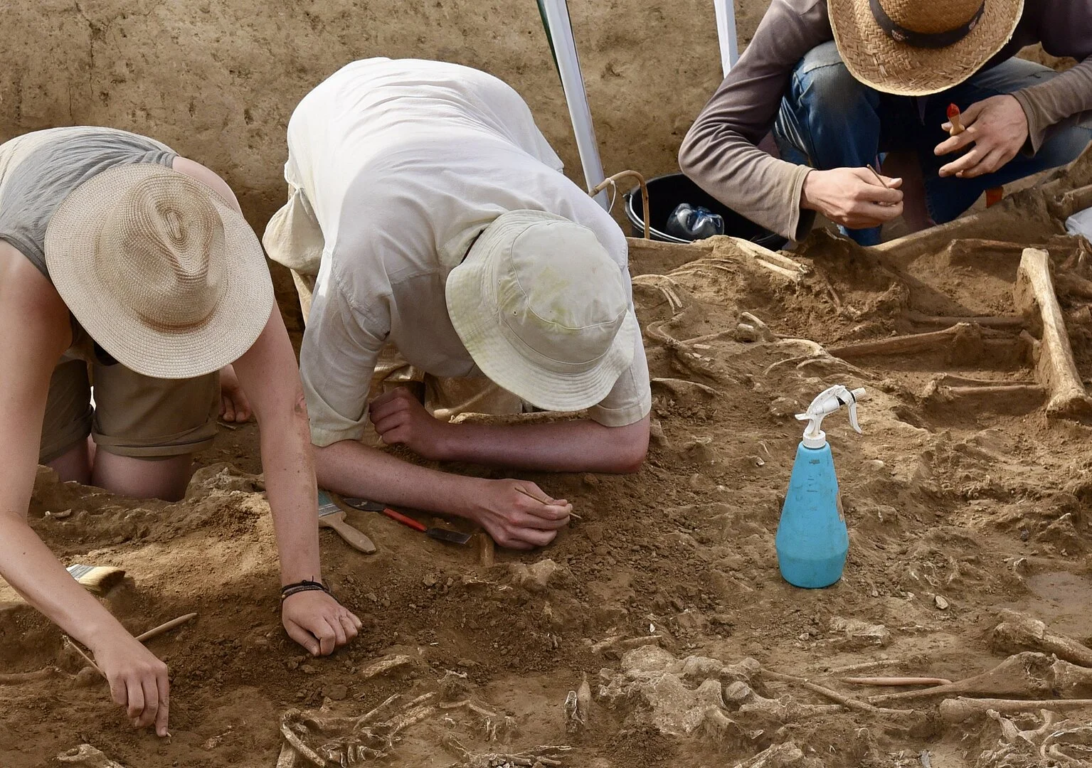 Foto de la excavación de los esqueletos sin cabeza
