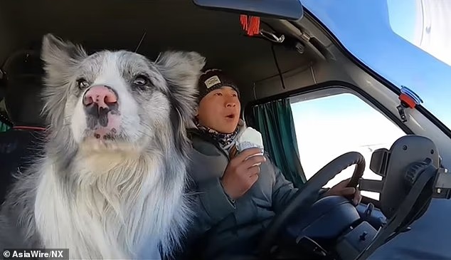 Perrito que conquistó China habría terminado servido como plato en restaurante por 24 mil pesos