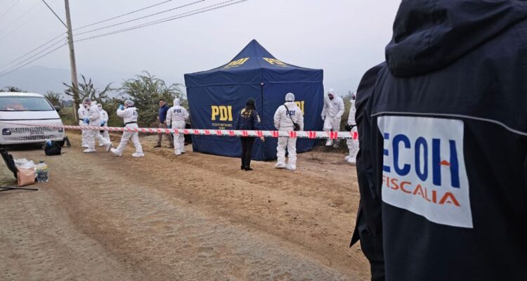 Investigan hallazgo de cadáver desmembrado y calcinado en Curacaví