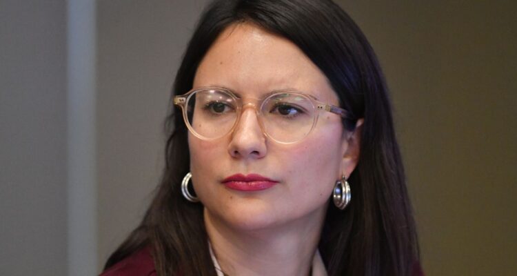 Declaran admisible querella por fraude al fisco contra Hassler por fallida compra de Sierra Bella
