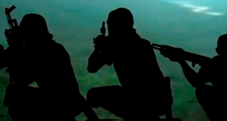FARC | Captura de Youtube