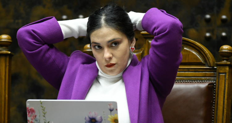 “Me violenta”: Cariola pide que se deje de mentir sobre ella para justificar voto en secreto bancario