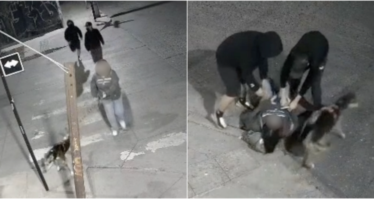 Mujer sufre violento robo mientras paseaba a su perra en Quinta Normal: la agredieron en el suelo