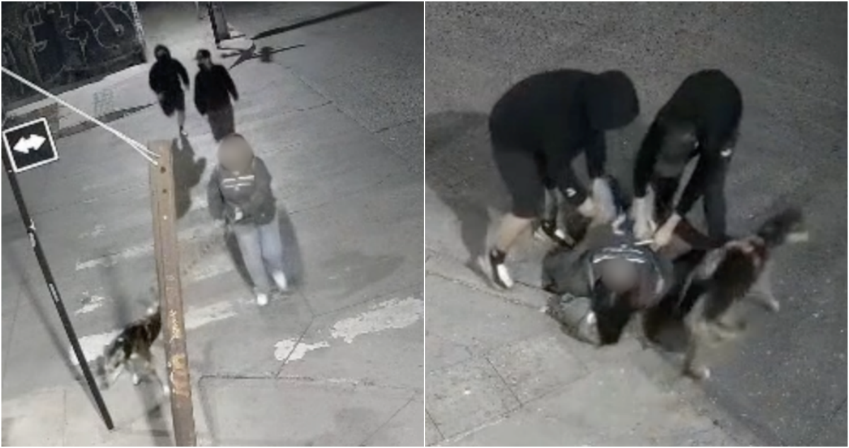 Mujer sufre violento robo mientras paseaba a su perra en Quinta Normal: la agredieron en el suelo