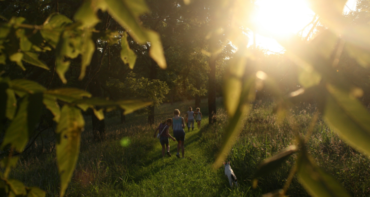 Niños caminando por el bosque
