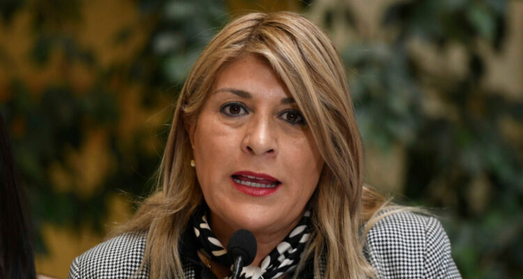 “Es una pérdida de tiempo”: Diputada Parisi (PDG) cuestiona acusación constitucional contra Grau