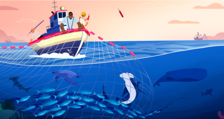 "Mar es fuente de vida y oportunidad económica": Chile y 14 países acuerdan lucha contra pesca ilegal
