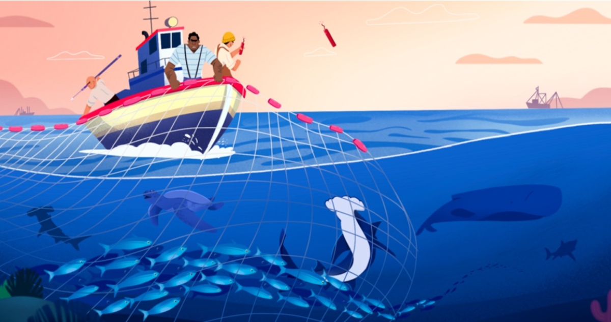 “Mar es fuente de vida y oportunidad económica”: Chile y 14 países acuerdan lucha contra pesca ilegal