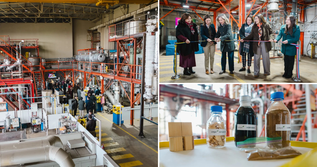 Inauguran la primera planta piloto de lignina en Chile: biomaterial sustituiría derivados del petróleo