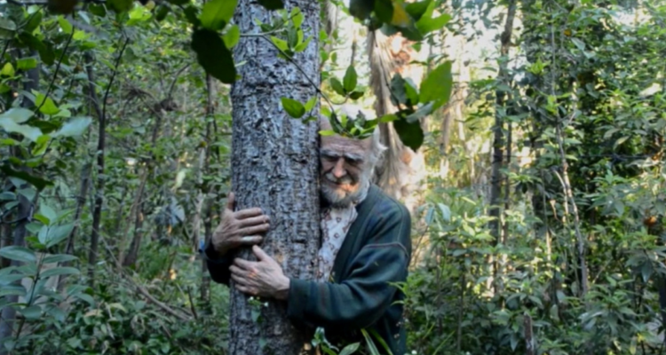 El hombre que planta árboles