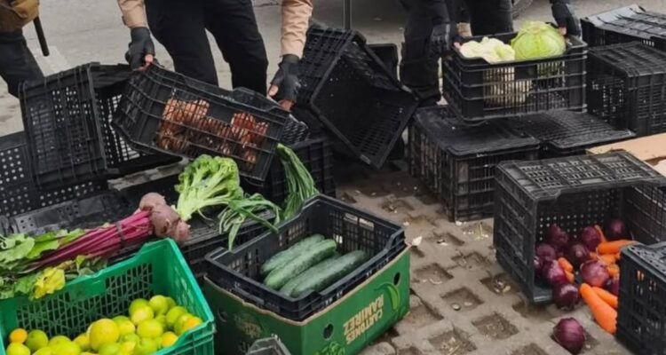 https://media.biobiochile.cl/wp-content/uploads/2026/06/productos-decomisados-comercio-ilegal-vina-mar-deficiencias-contraloria-750x400.jpg