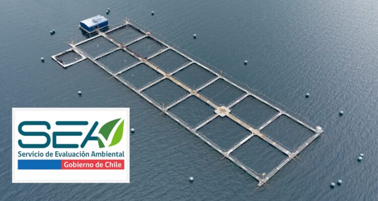 SEA aprobó 6 millones de dólares en proyectos de industria salmonera en regiones de Los Lagos y Aysén